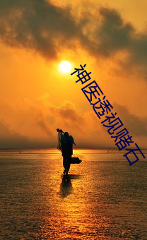 神醫透視賭石