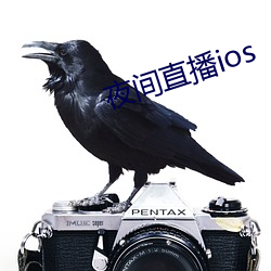 夜间直播ios
