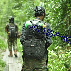 2021国产微精柏