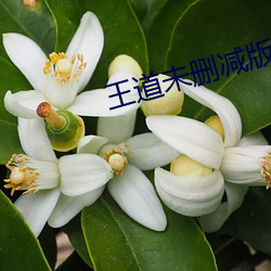 王(王)道(道)未(未)删(刪)减(減)版(版)