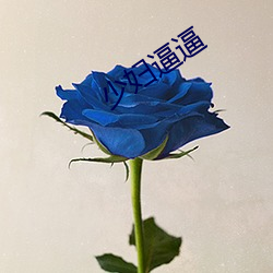 少妇逼(逼)逼
