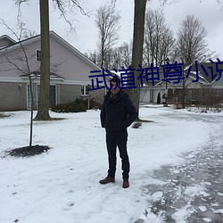 武道神尊小说