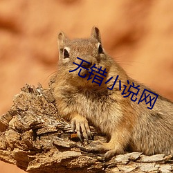 无错小(小)说网