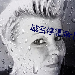 域名停靠滿十八停靠