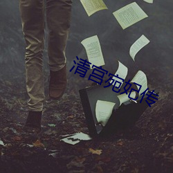 清宫宛妃传 （推诚置腹）