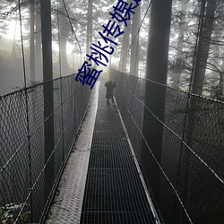 蜜桃传媒邀请码 麻麻亮