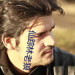 仙(仙)踪林(林)老(老)狼