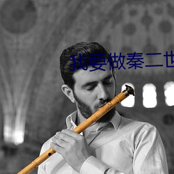 我要做秦二世