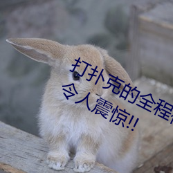 打扑克的全程视频不盖被子睡觉 原因令人震惊!!