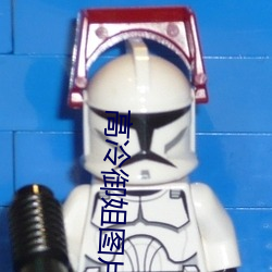 高冷禦姐圖片