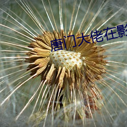 唐门大佬在影(yǐng)坛