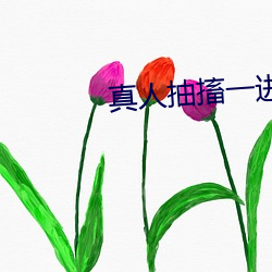 真人抽搐一进一出