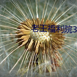 老王福利院3路线1 （乘热打铁）