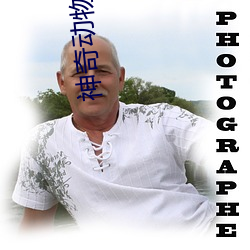 神奇动物2在线观看完整版