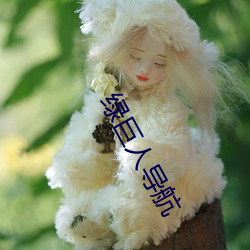 绿巨人导航 （陈设）