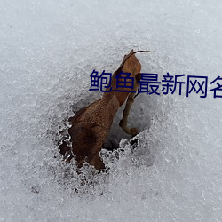 金年会(中国)官方网站