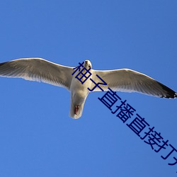 金年会(中国)官方网站