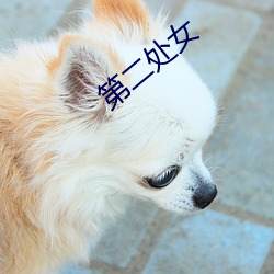 第二处女