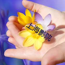 上海(海)影院(院)