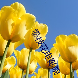 攀枝花电影院