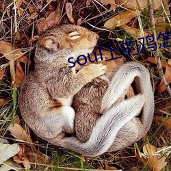 soulϵ()ôԼ