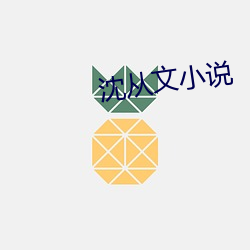 沈从文小说 （觥筹交织）