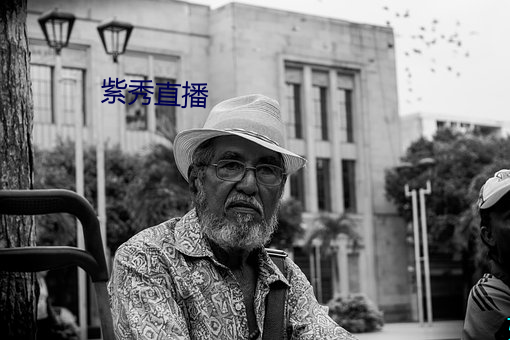 紫秀直播