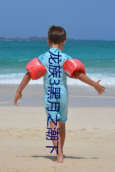 龙(龍)族3黑月之(之)潮(潮)下