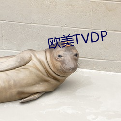 欧美TVDP