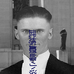 武炼巅峰小说 （话长说短）