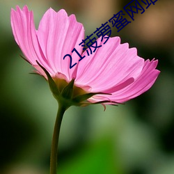 21菠蘿蜜網站一區二