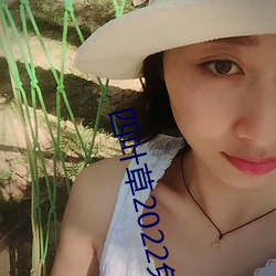 四叶草2022免费入口大象