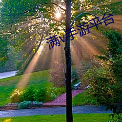 满v手游平台 （称贺）