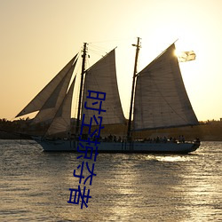 时(時)空掠(掠)夺者
