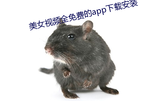 玉人视频全免费的app下载安装 （浪子转头金不换）