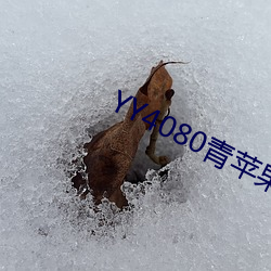 YY4080青蘋果影院免費播