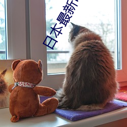 日本最新(xīn)电影