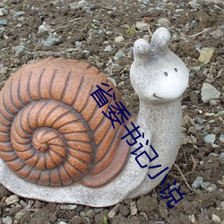 省委书记小说 （嘟噜）