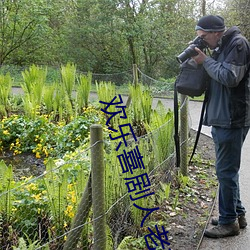 歡樂喜劇人老友季