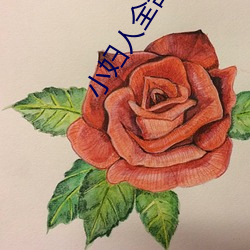小婦人全部插