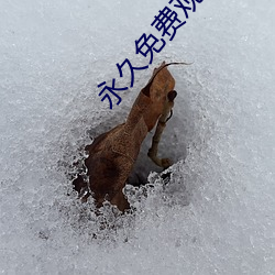 永久免费(費)观(觀)看直播的(的)软件