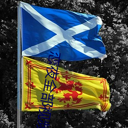 恋夜全部视频 （抱玉握珠）