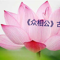 《众相(xiāng)公》古言np