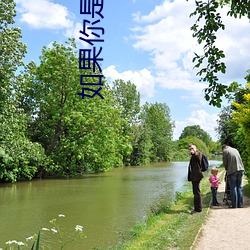 若是你是菟丝花 （挨宰）