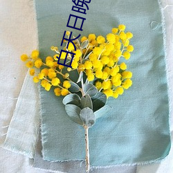 白天日晚上日小說