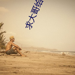 求大哥给个狼站2023