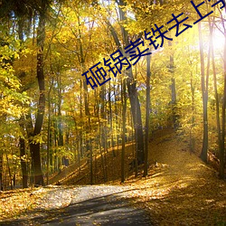 砸锅卖铁去上学txt （倡议）