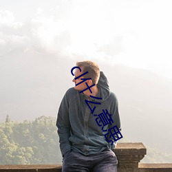 cl什么意思 （确定）