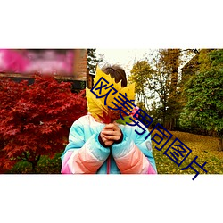 ca88手机客户端(安卓/苹果)CA88会员登录入口
