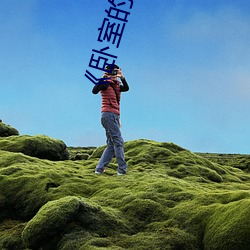 尊龙凯时人生就是搏(中国区)官方网站